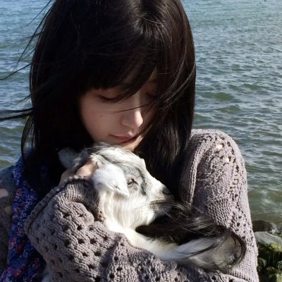 代号猎鹰